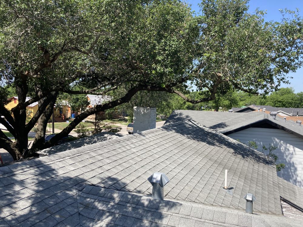 GOLDEN BRANCH TREE SERVICE & LANDSCAPING San Antonio, Texas Tree