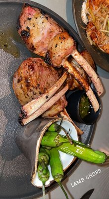 Toro Toro by null Toro Toro by null