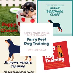 Furry Feet Dog Training