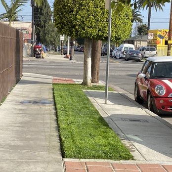 Copados Landscaping - general maintenance - Landscaping Near Me Copados Landscaping - general maintenance - Landscaping Near Me