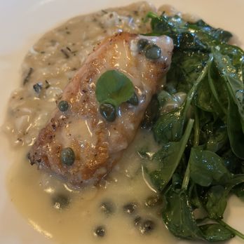 Piatti - Grilled Organic Scottish Wild Isle Salmon - Pizza Near Me - San Antonio, Texas
