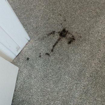 Temecula Valley Chem-Dry - Strange black ink stains on carpet, left by AirBnB Guest at my vacation rental in Temecula Wine Country. - Carpet Cleaning Near Me - Murrieta, California