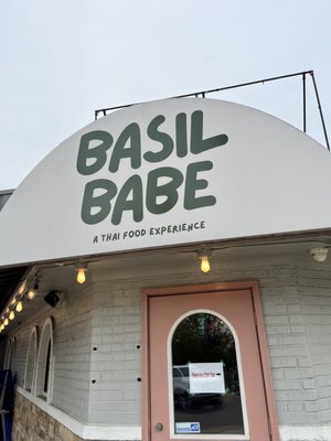 Basil Babe by null