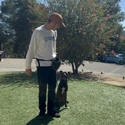Gojo sitting Gojo sitting