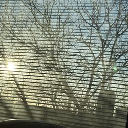 Northeast Baptist Hospital - View from my window