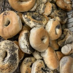 Kosher Bagels Supreme