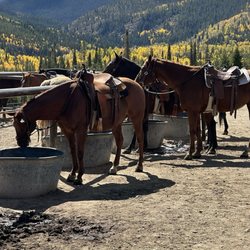 Rocky Mountain Stables - Beautiful horses and a beautiful ride.
