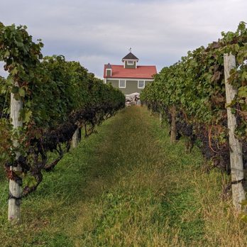 Fjord Vineyards - Love this view! - Wine Tasting Room Near Me - Milton, New York Fjord Vineyards - Love this view! - Wine Tasting Room Near Me - Milton, New York