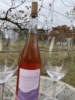 Cloudland Vineyards and Winery by null