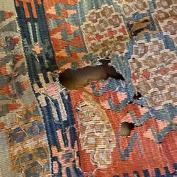 Ottomania Oriental Rugs Gallery