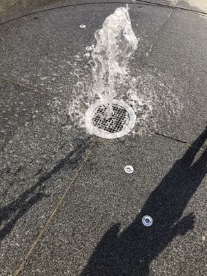 Place des Terreaux by null