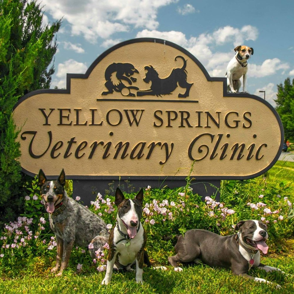 YELLOW SPRINGS VETERINARY CLINIC Updated September 2024 19 Photos