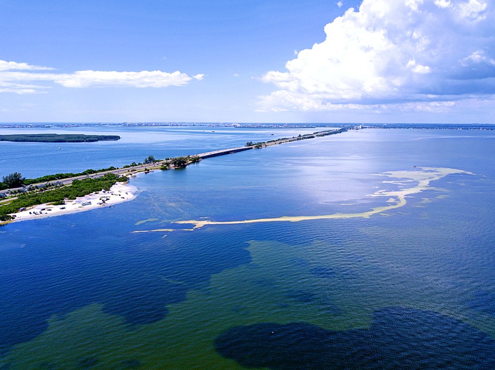 WaterHorses - equestrian in Saint Petersburg, FL