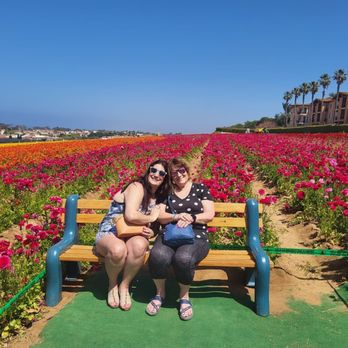 The Flower Fields - My daughter and myself - Venues & Event Spaces Near Me - Carlsbad, California The Flower Fields - My daughter and myself - Venues & Event Spaces Near Me - Carlsbad, California