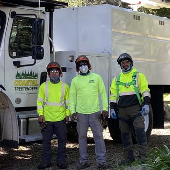 Coastal Tree Tenders - We're COASTAL TREETENDERS!!! - Tree Services Near Me Coastal Tree Tenders - We're COASTAL TREETENDERS!!! - Tree Services Near Me