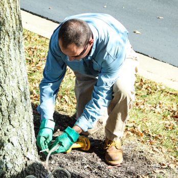 Custom Lawn & Landscape - a man trimming a tree - Landscaping Near Me - Olathe, Kansas Custom Lawn & Landscape - a man trimming a tree - Landscaping Near Me - Olathe, Kansas