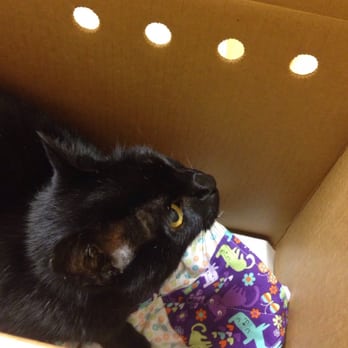 Booster Pet - My Bela doing very well at her first checkup - Veterinarians Near Me - Kirkland, Washington Booster Pet - My Bela doing very well at her first checkup - Veterinarians Near Me - Kirkland, Washington
