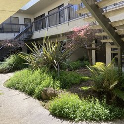 Way of Wellness Healthcare