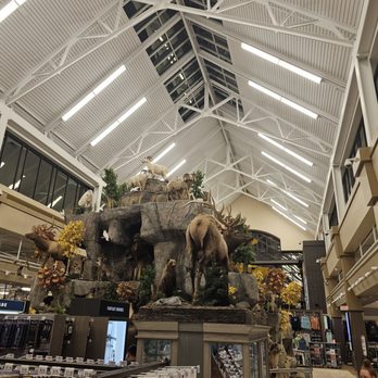 Scheels - Golf Equipment Near Me - Chandler, Arizona