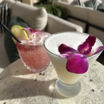 Tortuga - Bars Near Me - San Diego, California Tortuga - Bars Near Me - San Diego, California