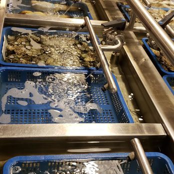 Taylor Shellfish Farms - Seafood Near Me - Seattle, Washington Taylor Shellfish Farms - Seafood Near Me - Seattle, Washington
