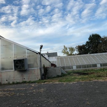 Urth Farms - a view of a large greenhouse - Farmers Market Near Me - New Britain, Connecticut Urth Farms - a view of a large greenhouse - Farmers Market Near Me - New Britain, Connecticut
