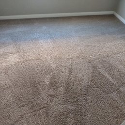Great carpet cleaning! Great carpet cleaning!