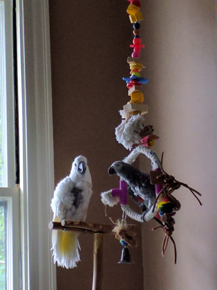 ANIMAL HOSPITAL OF SOUTH GORHAM Updated September 2024 47 County Rd