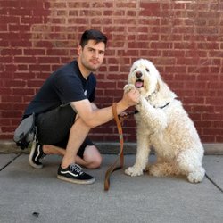 Chicago Bark District - Cole and Muppet