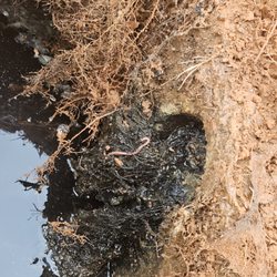 Discount Drain Cleaning