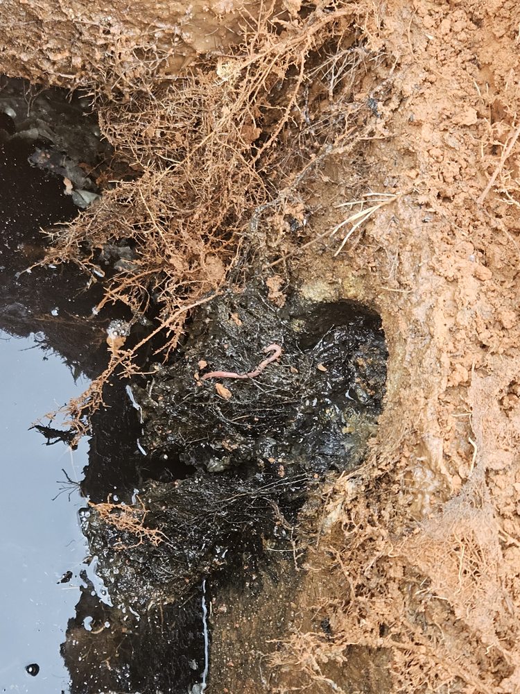 Slide of Discount Drain Cleaning