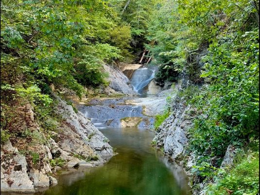 Natural Bridge State Park by null
