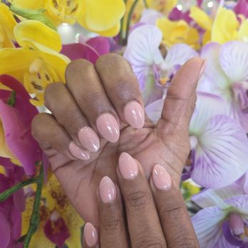 French Nails - Best service I have received in a long time! Thank you so much - Nail Salons Near Me - Grapevine, Texas