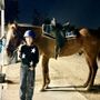 Photo of S.T.A.R.S. of Horsemanship