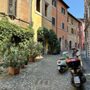 Photo of Wander Joy Vacations
