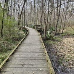 Acadiana Park Nature Station - Boardwalk