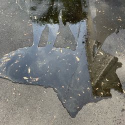 Kogon's Paving