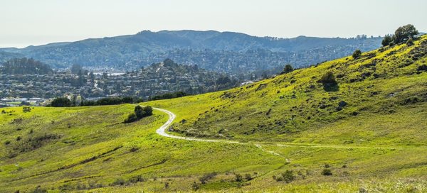 Ring Mountain Preserve by null