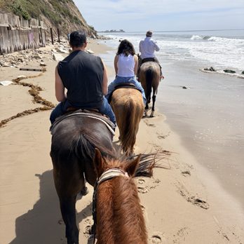Santa Barbara Beach Horseback Rides - Tours Near Me