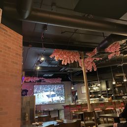 SASAKI SUSHI & BAR - Updated December 2025 - 418 Photos & 230