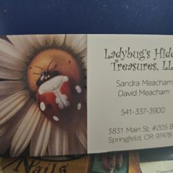 Ladybugs Hidden Treasures