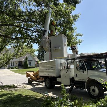 Urban Forestry - The Urban Forestry team really gets into their work - Tree Services Near Me - Lee's Summit, Missouri Urban Forestry - The Urban Forestry team really gets into their work - Tree Services Near Me - Lee's Summit, Missouri