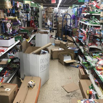 Dollar Tree - Discount Store Near Me - Brooklyn, New York