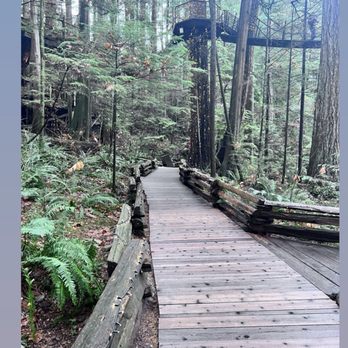 Capilano Suspension Bridge Park - Parks Near Me - North Vancouver, British Columbia