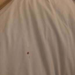 blood stain on sheets