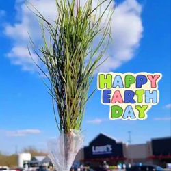 Lowe's Home Improvement - Another Springfest event freebie!
