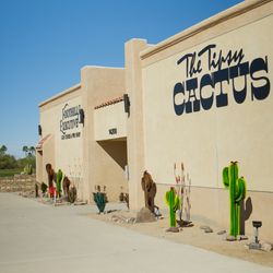 The Tipsy Cactus