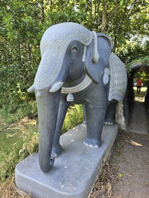 Victor's Way by null