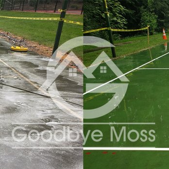 Goodbye Moss PNW - Before & After - Pressure Washers Near Me Goodbye Moss PNW - Before & After - Pressure Washers Near Me