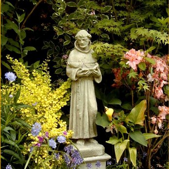 Matt Sander Landscape Services - Add a caption - Landscaping Near Me - Tigard, Oregon Matt Sander Landscape Services - Add a caption - Landscaping Near Me - Tigard, Oregon